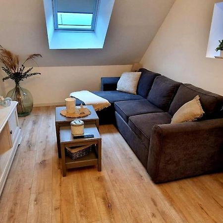 Appartement Charmant Et Spacieux Auxerre Kültér fotó
